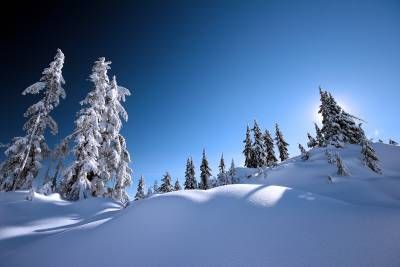 زمستان منظره طبیعت سرما درخت
