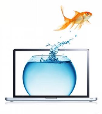 لپ تاپ آب ماهی قرمز 2