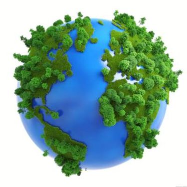 کره زمین محیط زیست جنگل