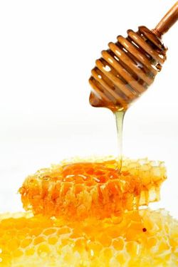 عسل طبیعی لبنیات صبحانه 2