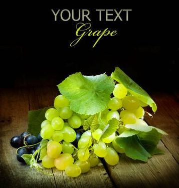 کارت پستال انگور