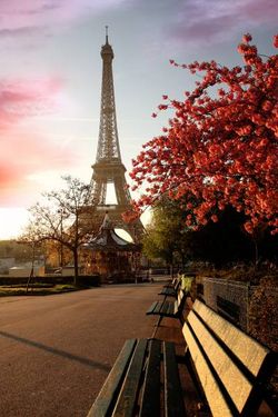 جهانگردی پاریس برج ایفل توریست نیمکت