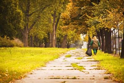 مسیر پارک منظره طبیعت