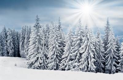 زمستان منظره کوه کوهستان درخت برف سرما