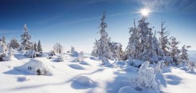 برف زمستان کوهستان سرما