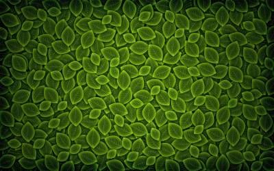 تصویر زمینه بکگراند با زمینه سبز