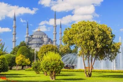 عمارت جهانگردی توریستی پارک درخت