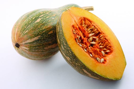 کدو میوه میدان بار