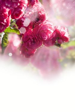 دسته گل هدیه گلفروشی فصل بهار