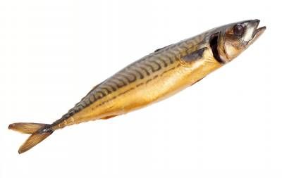 غذای دریایی رستوران آشپزخانه ماهی 5