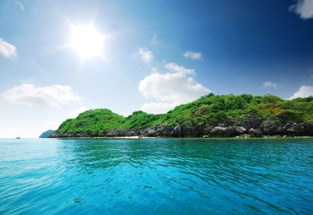 منظره بسیار زیبا ساحل جنگل دریا