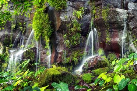 منظره بسیار زیبا طبیعت جنگل آبشار
