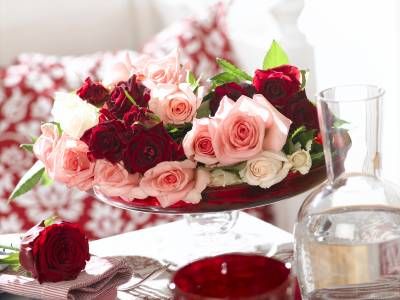 گل رز زیبایی دکور گل فروشی