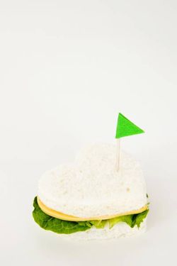 پنیر محلی صبحانه دامداری