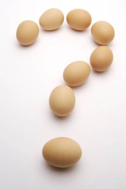 تخم مرغ تست هوش سوال علامت سوال