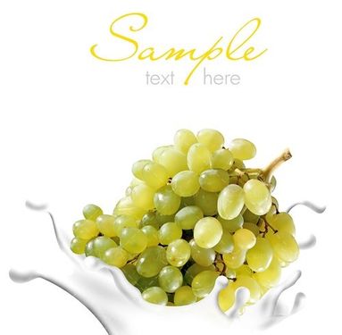 انگور سفید شیر انگور میوه فروشی 