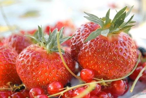 سوپر میوه توت فرنگی 1