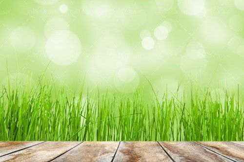 تخته منظره  چشم انداز طبیعت1 