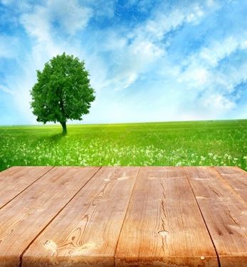 تخته درخت منظره طبیعت 