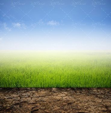 آسمان آبی منظره مزرعه مه 