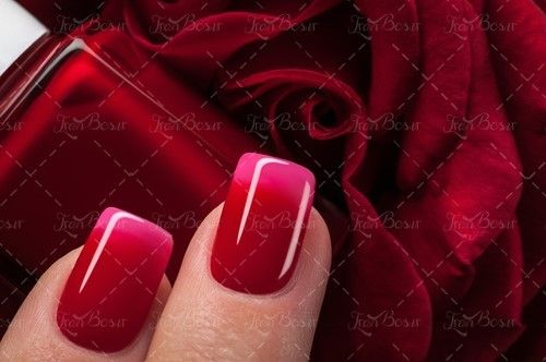 لاک ناخن قرمز جگری  و صورتی 