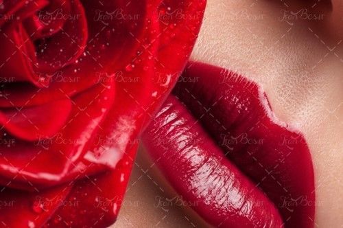 سالن زیبایی رز قرمز رژ قرمز 