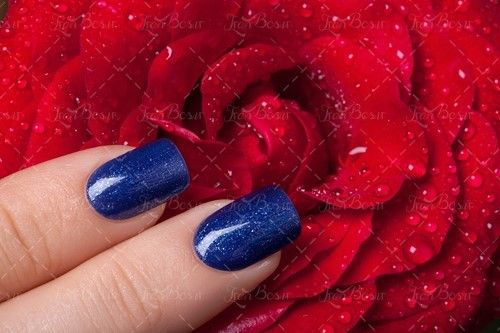 لاک ناخن آبی گل رز قرمز 
