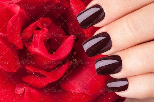 ناخن مصنوعی لوازم آرایش لاک 