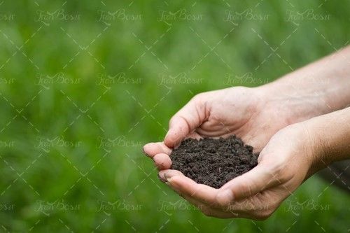 خاک کشاورزی کود حیوانی 
