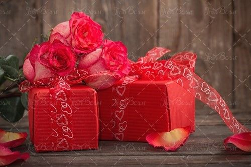 گل رز جعبه قرزم پاپیون قرمز 