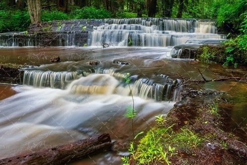 جنگل رودخانه آبشار طبیعت منظره 