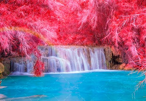 رودخانه آبی درخت قرمز آبشار 