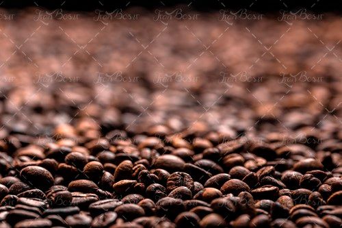 دانه های قهوه 2