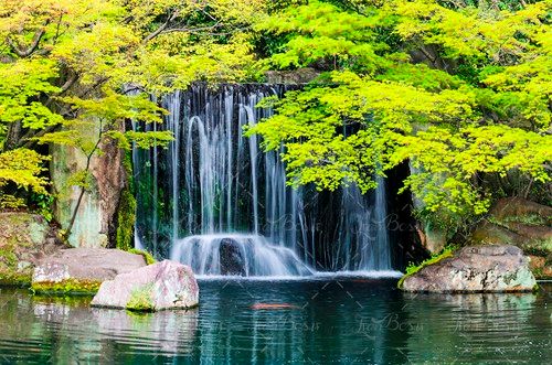 منظره آبشار آب زلال طبیعت 