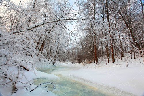 رودخانه یخ زده زمستان جنگل درخت