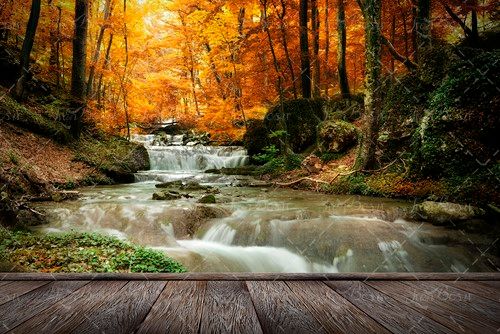رودخانه جنگلی پر آب پاییز درخت 