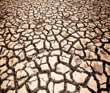 کویر ترک خرده زمین خشک 
