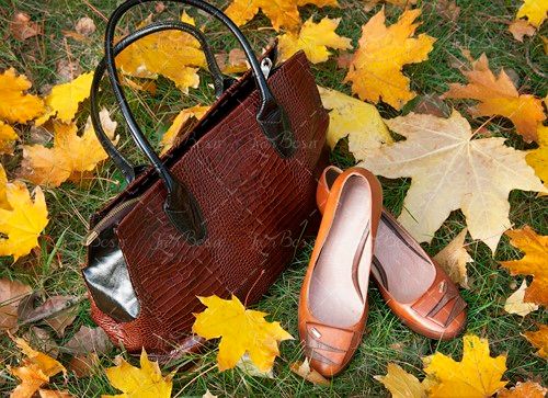 پاییز برگ زرد کیف و کفش زنانه