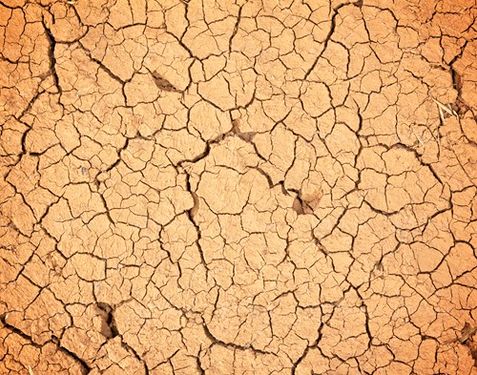 بکگراندزمین خشک زمین ترک خرده 