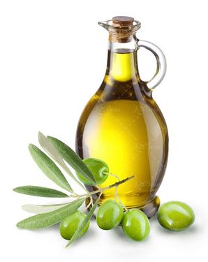 زیتون شاخه زیتون روغن زیتون 