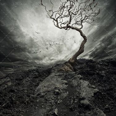 منظره تیره طبیعت خشک ابر 