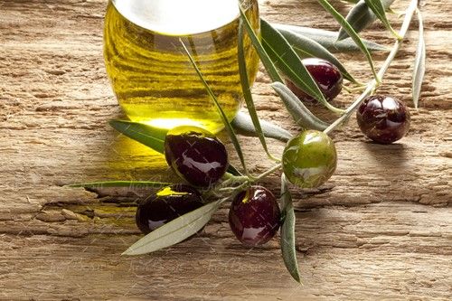 شیشه روغن زیتون شاخه زیتون 