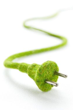 سیم برق چمنی دوشاخ برق چمن 