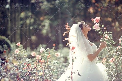 مزون عروس گل طبیعی باغ گل 