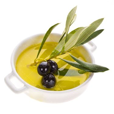 شاخه زیتون ظرف روغن زیتون 