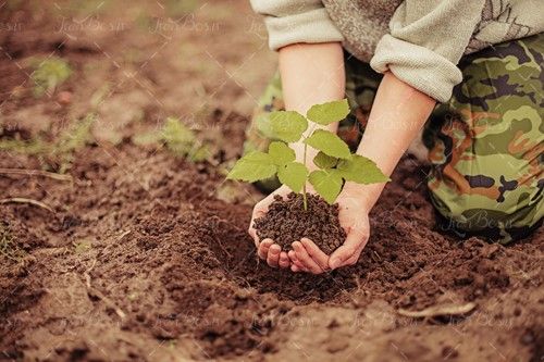 نهال کوچک خاک درختکاری دست 