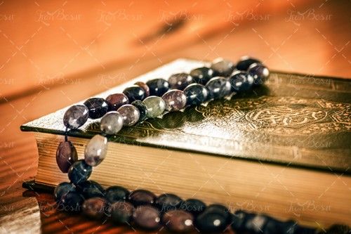 مه جنگل منظره چشم انداز طبیعت 