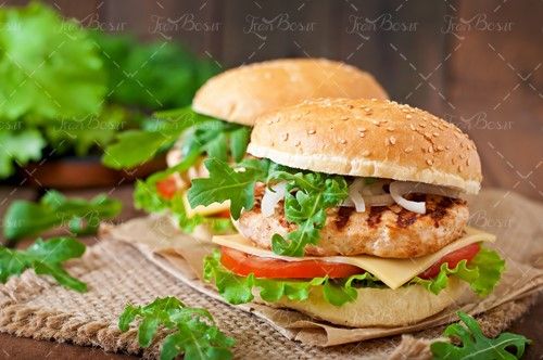 ساندویچ همبرگر سبزی اسفناج گوجه 