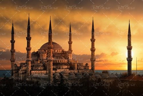 دسته گل نارنجی عروس کفش سفید 