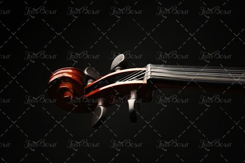 کیتار ویالون آلات موسیقی گروه موسیقی